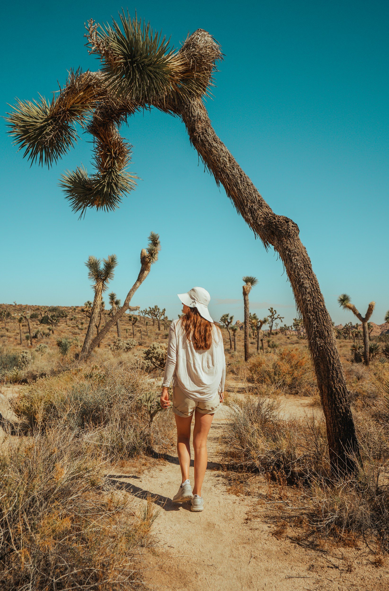 woman hiking in the desert
