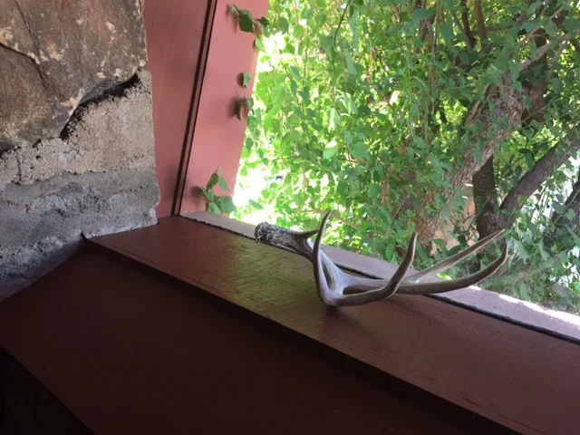 Grapes of Wrath in Reverse 2.0: Rocky Road Day 2 ½