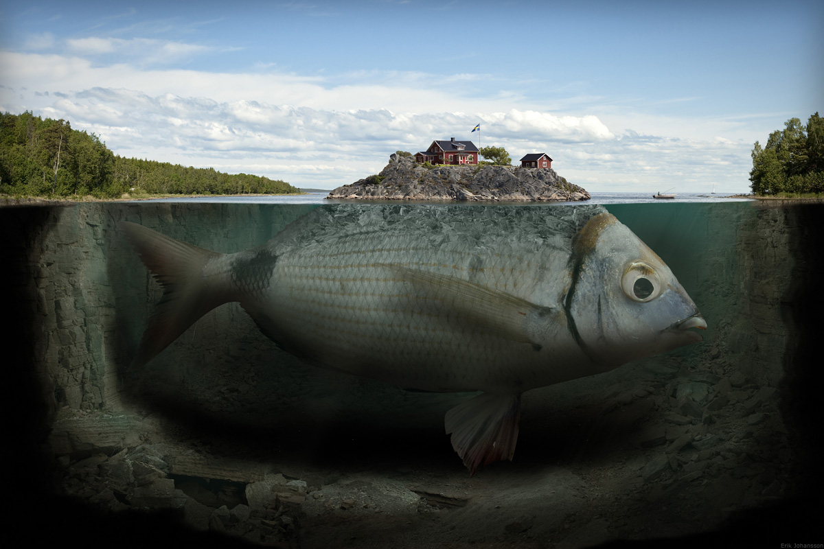 Fishy Island, 2009
