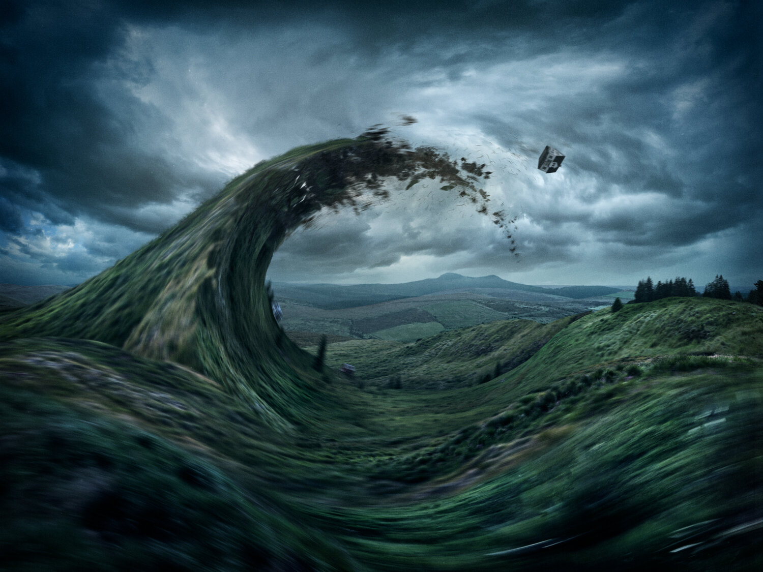 Rejection Process, 2019