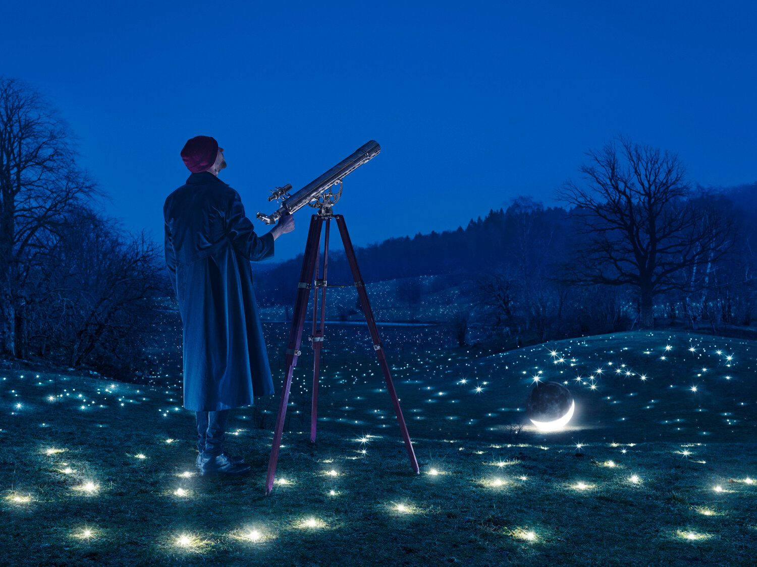 Looking for Stars, 2019