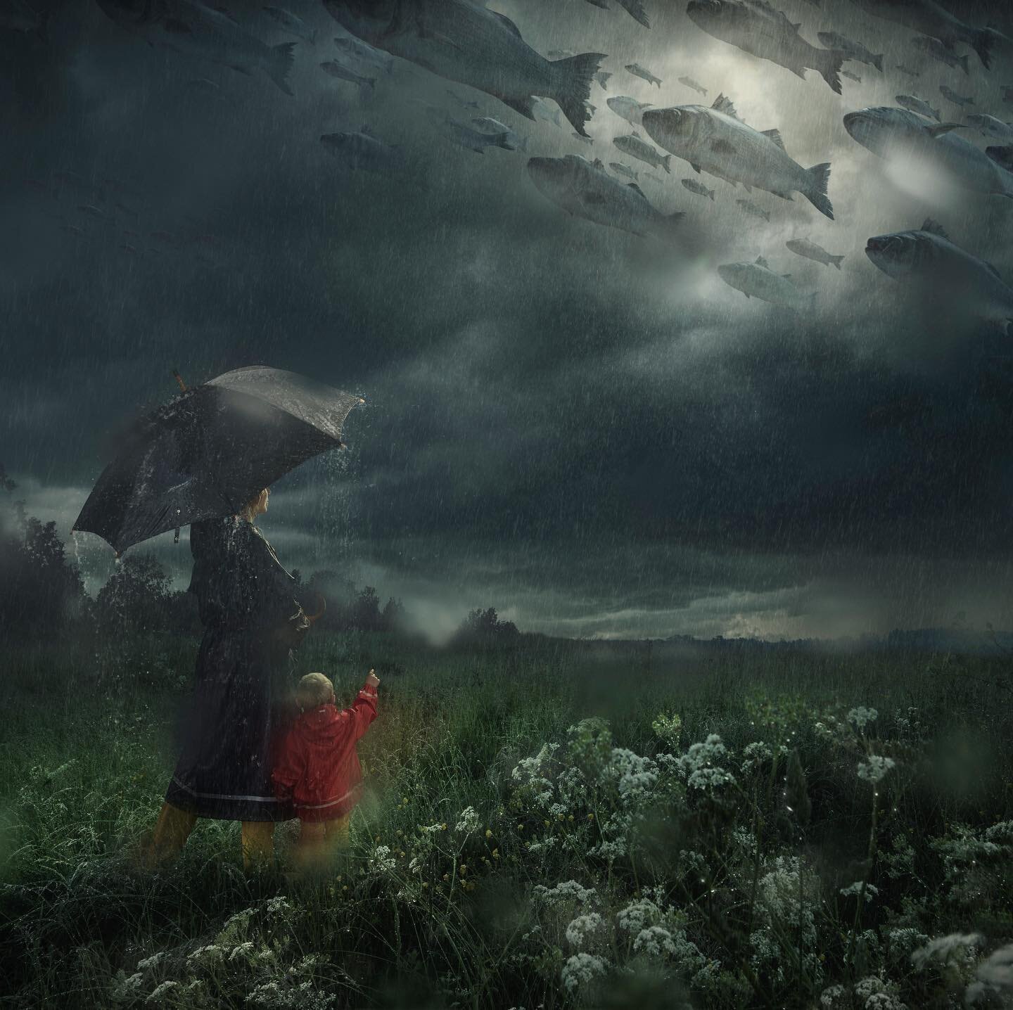 &ldquo;Lost in the Rain, 2016&rdquo; 
.
Imagine when it rains so heavily that fish take over the skies. It&rsquo;s a rare phenomena and it&rsquo;s rarely observed by humans.
.
Made in 2016 on a rainy day in Sweden.
.
#lostinntherain #erikjohansson #r