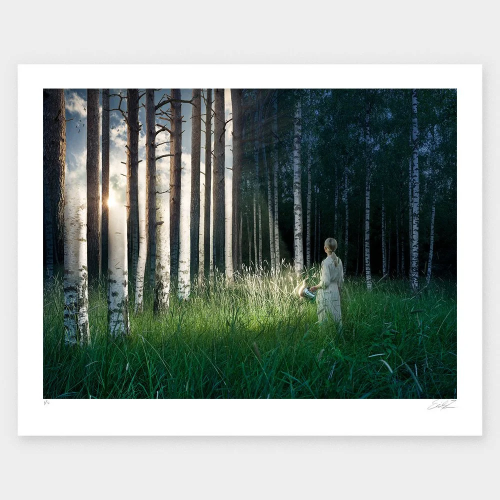 between the shadows medium.jpg