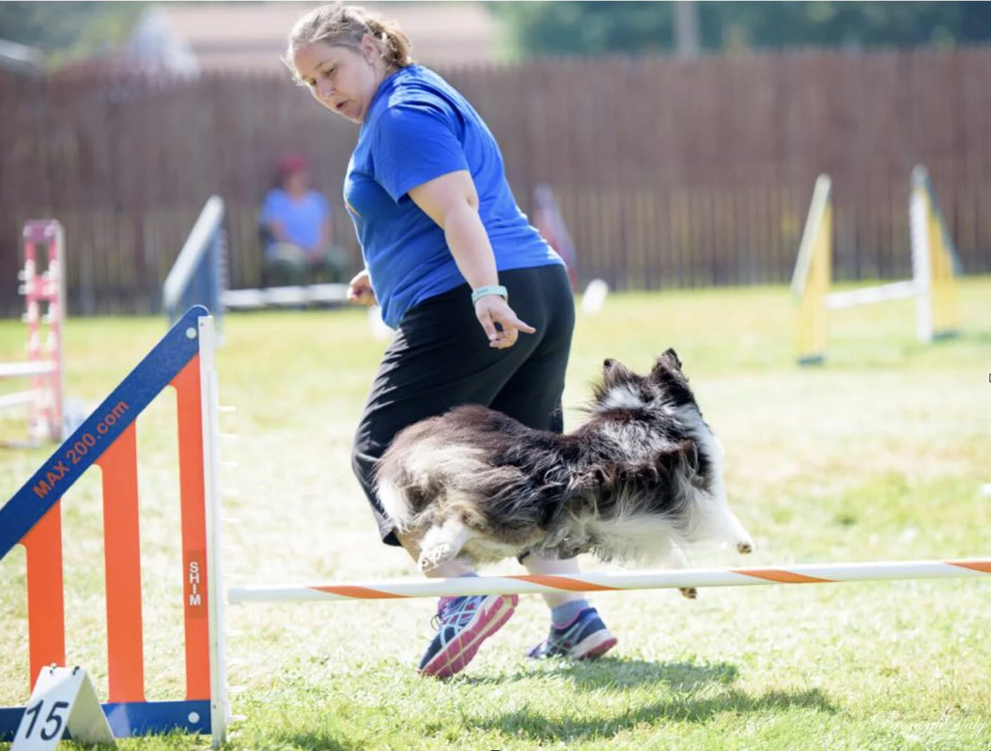 paws 4 fun agility