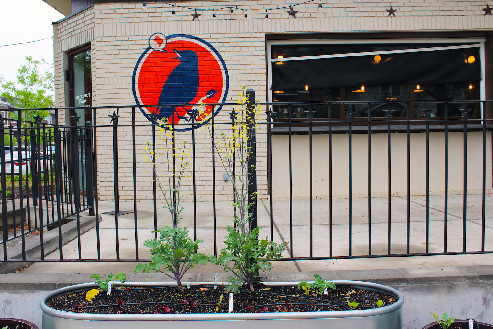 A barrel garden installed by Love & Carrots outside of Brookland's Finest in northeast D.C. (Photo by Robin Dienel).