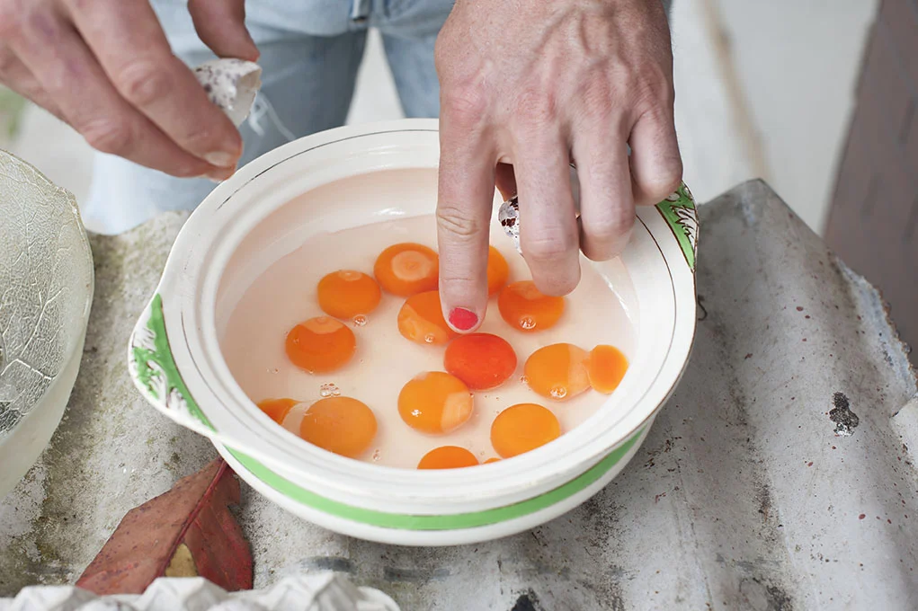 ZUGVOGEL. VOM REISEN UND FINDEN.