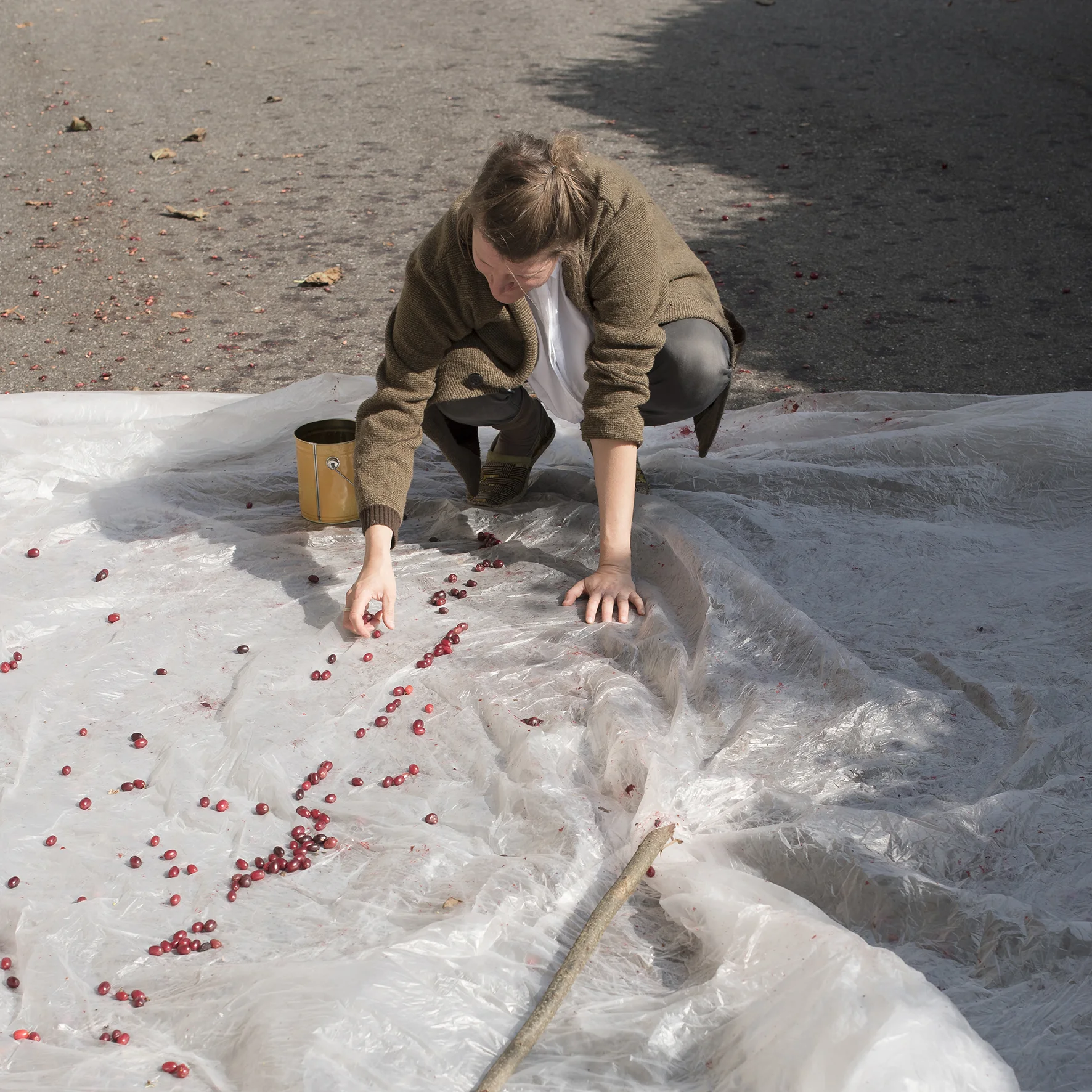 MISSION: BEST RIEGEL