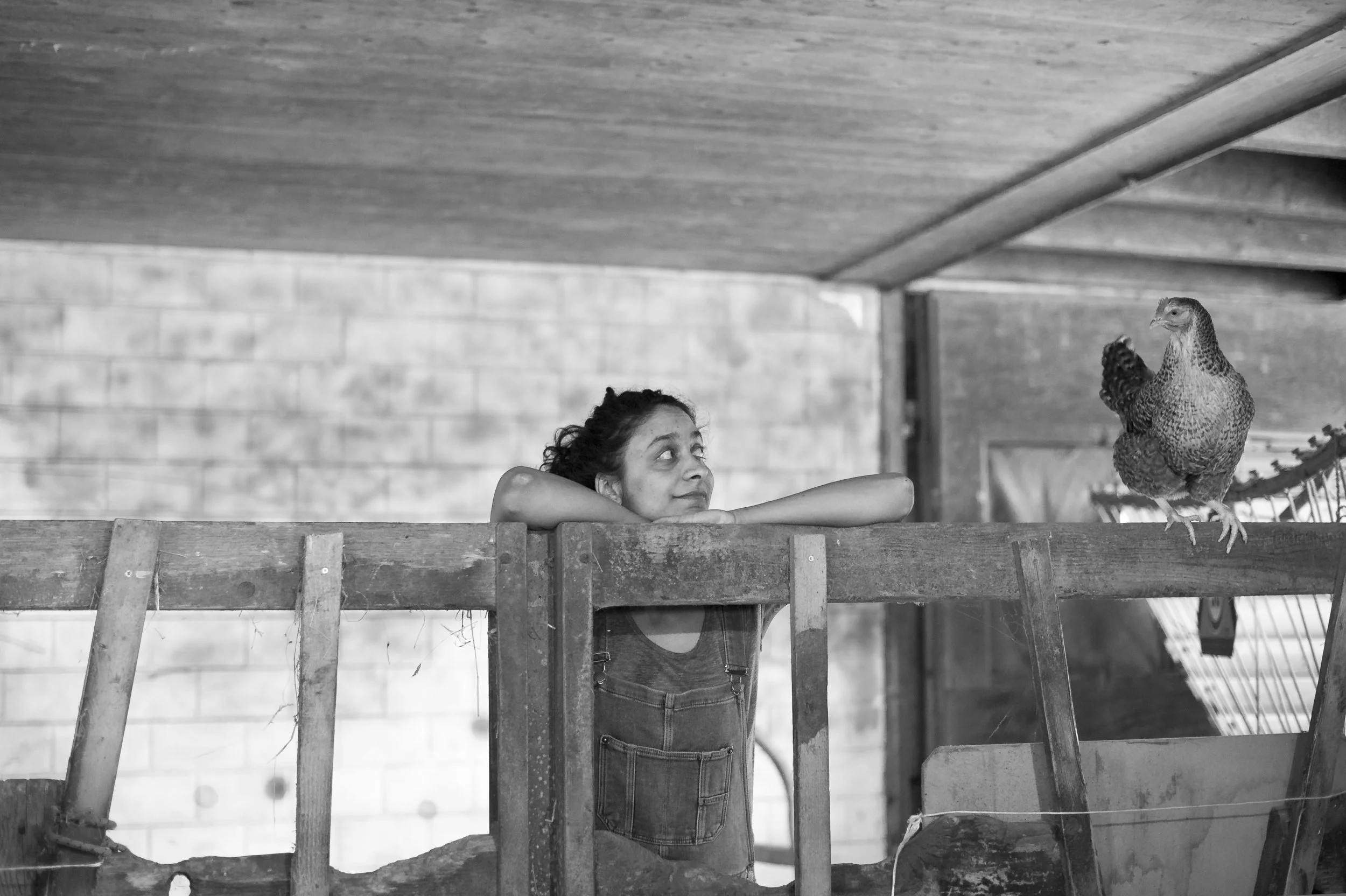 THIS IS YOUR WAKE UP CALL