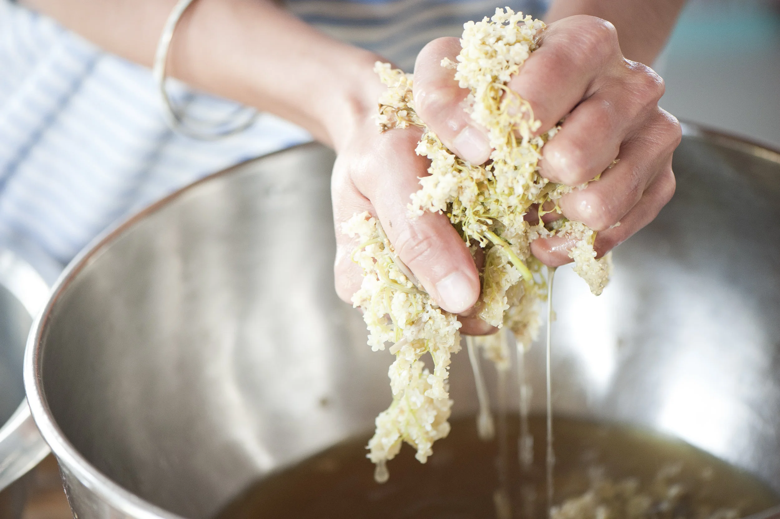 FRITTIER DEN HOLUNDER, STREICH DIR DEN KÄSE. ED! HAT ES GETAN.