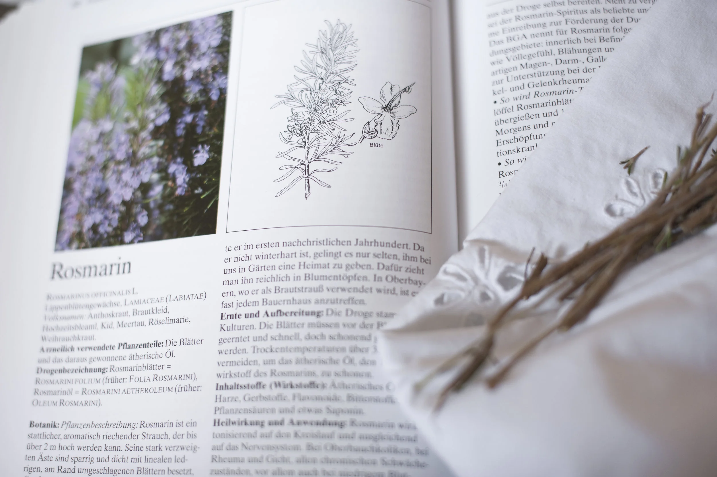 SALZIGER MEERTAU UND SÜSSES NICHTSTUN