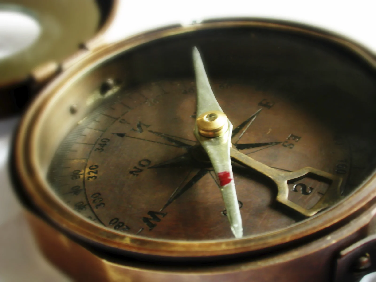 iStock_000000030500_Medium.jpg