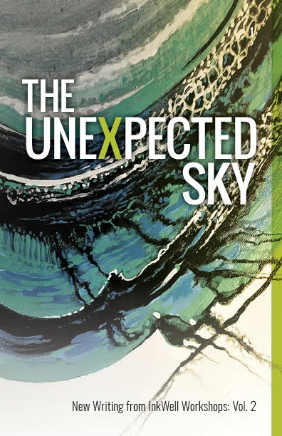 Launch of The Unexpected Sky