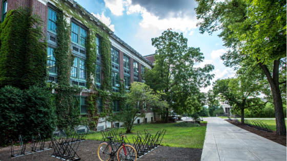 Is an MFA in Creative Writing Worth It?