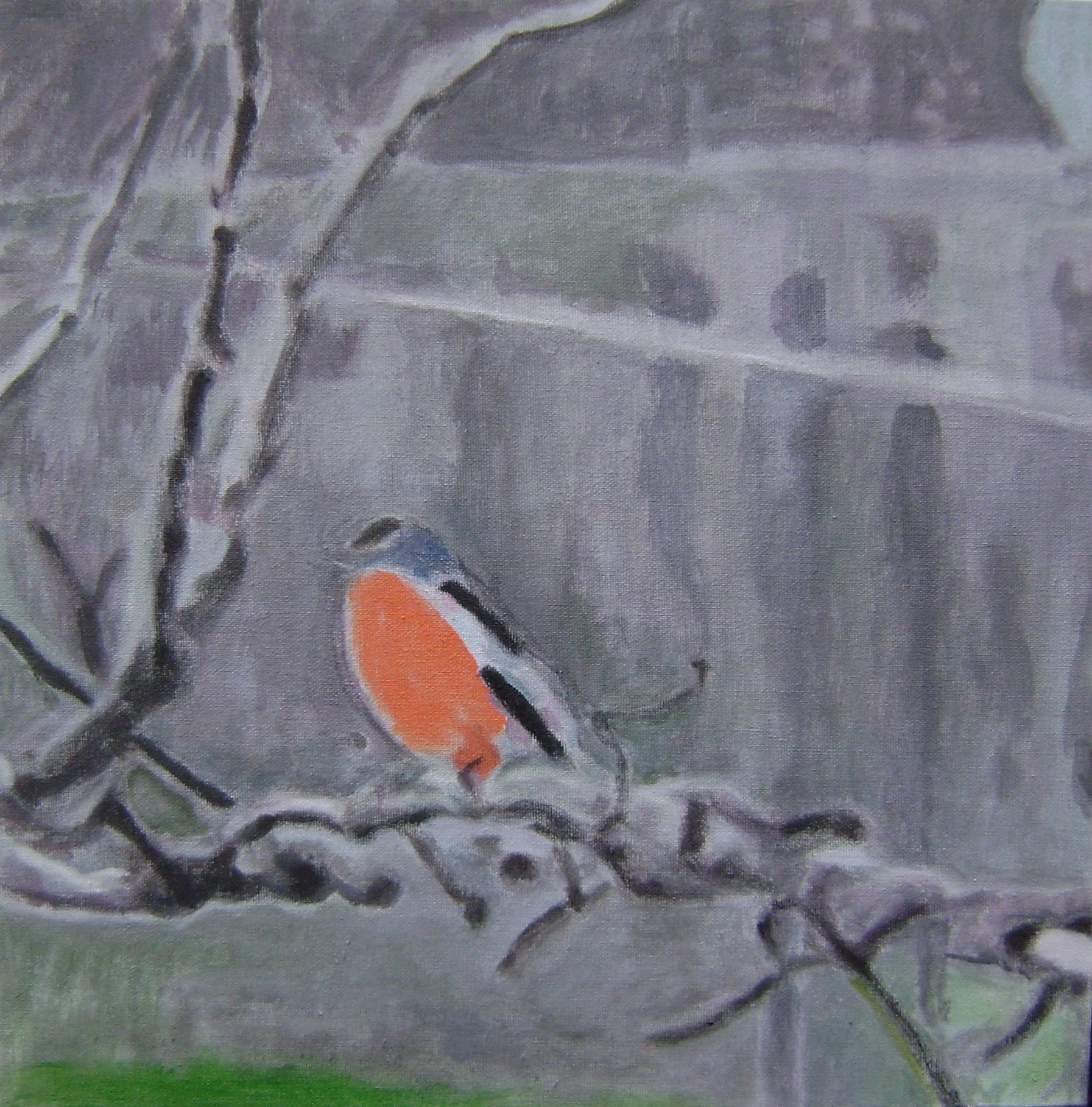 Rouge-gorge