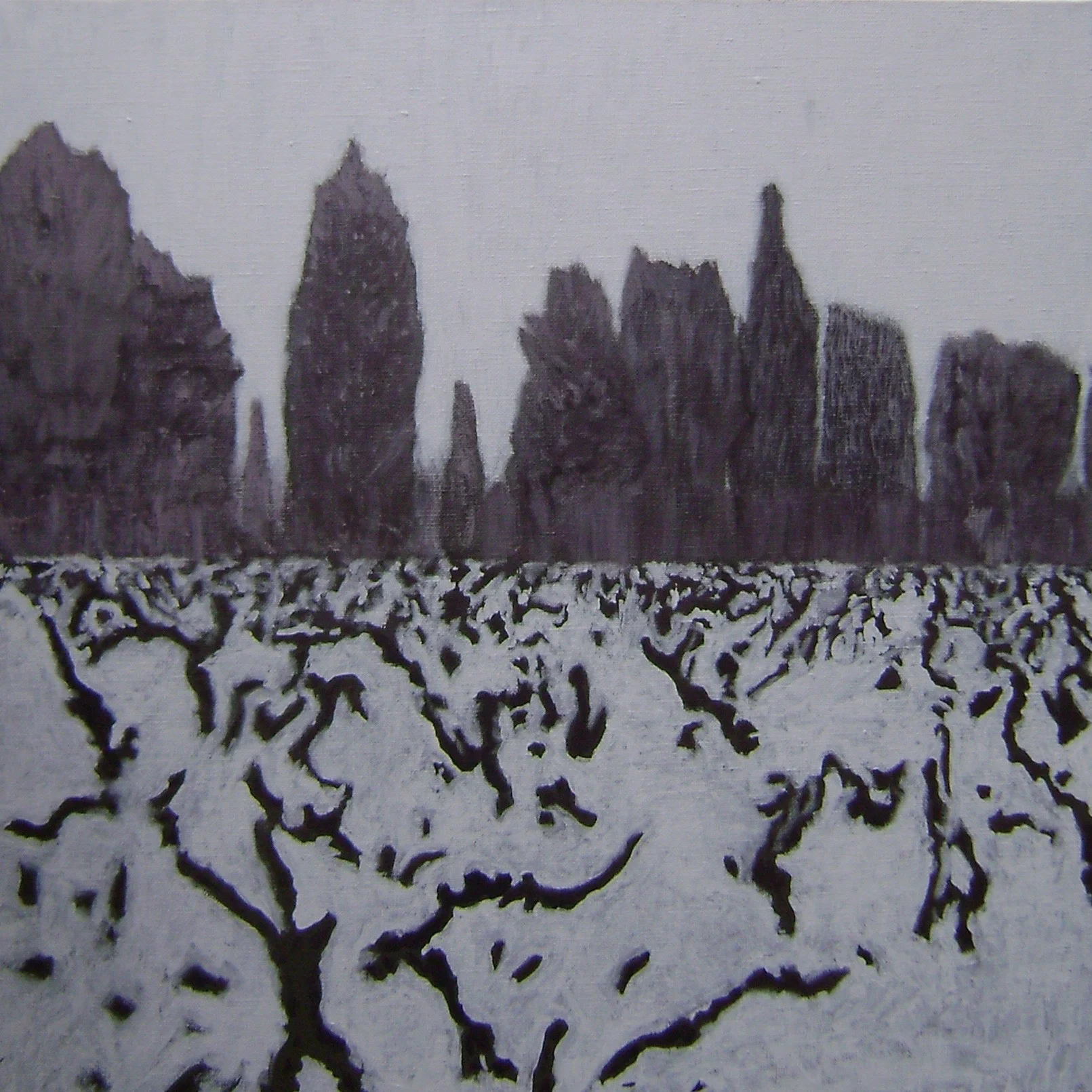 Soir vignes neige