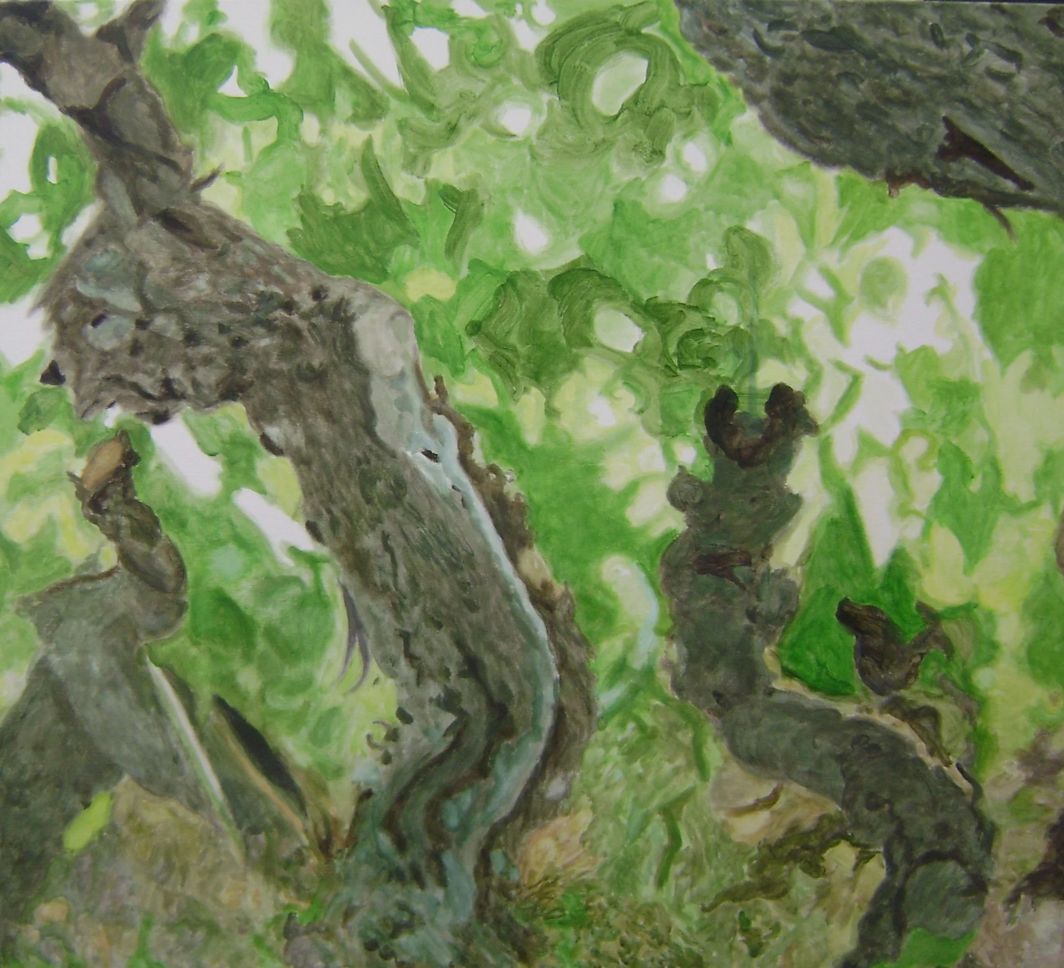 Vignes en grand