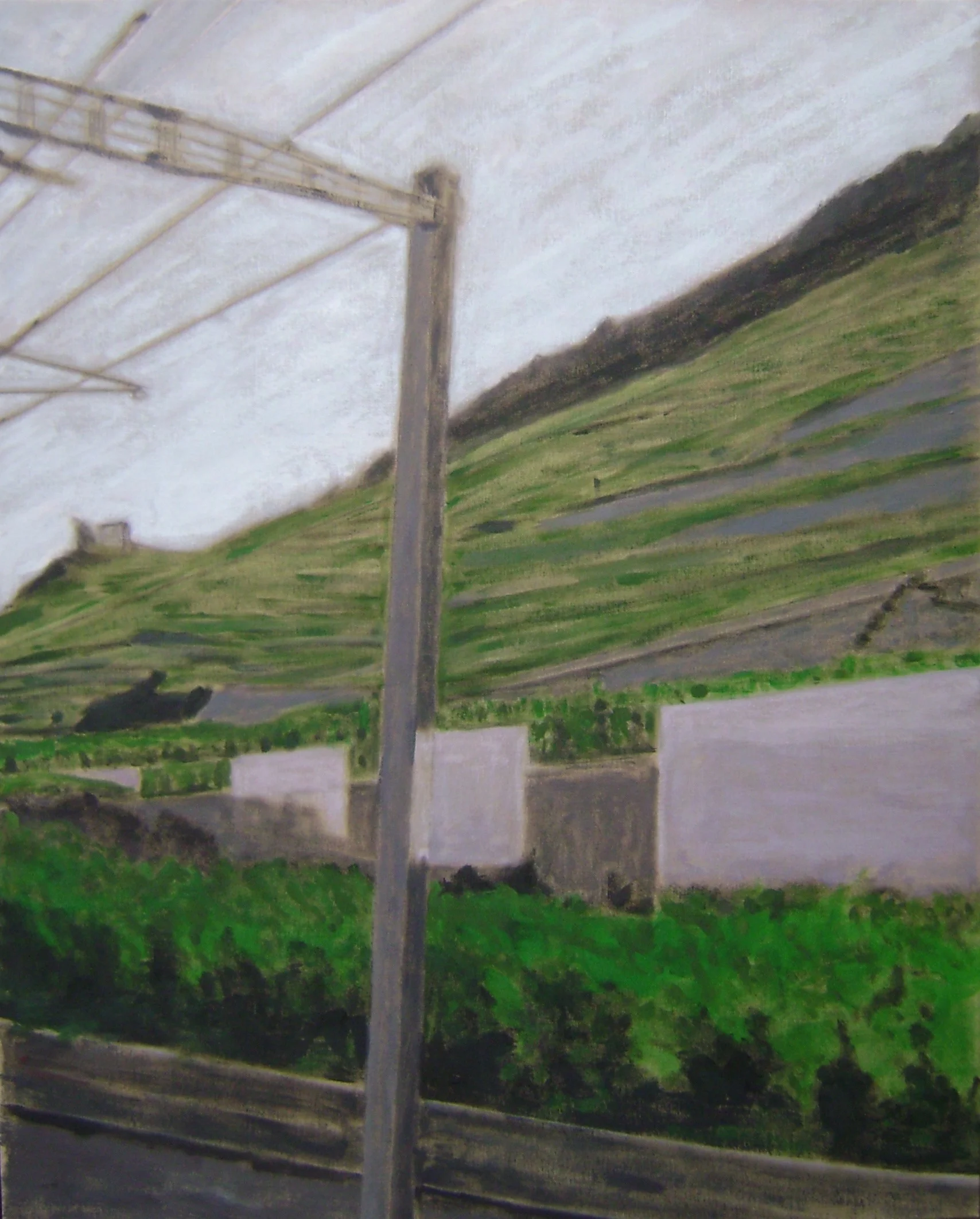 Vignes en train en V.