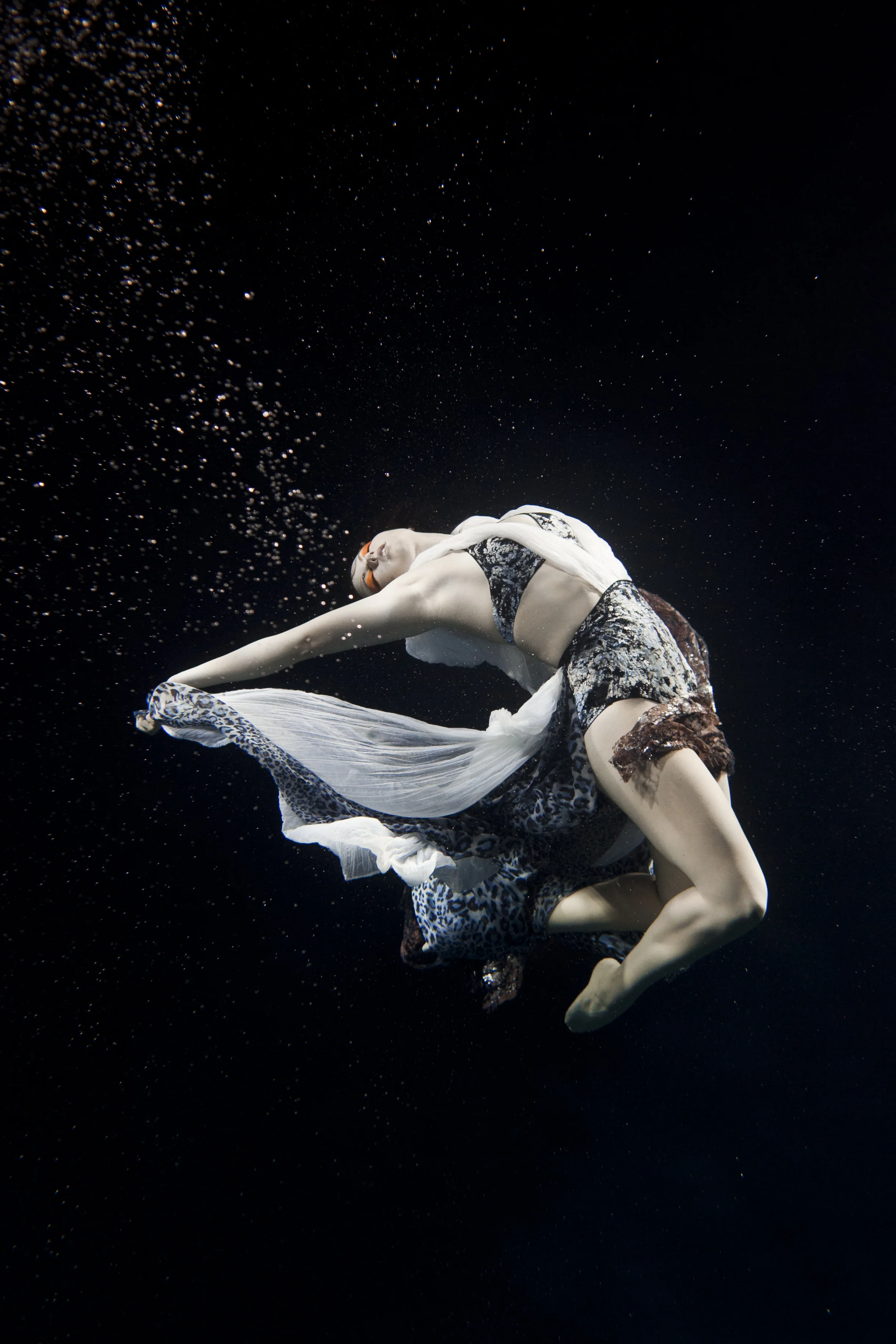 Cocoon promo 485.jpg