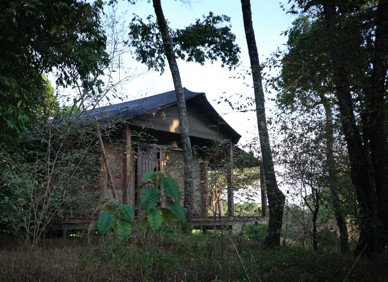 DSCF3309.jpg