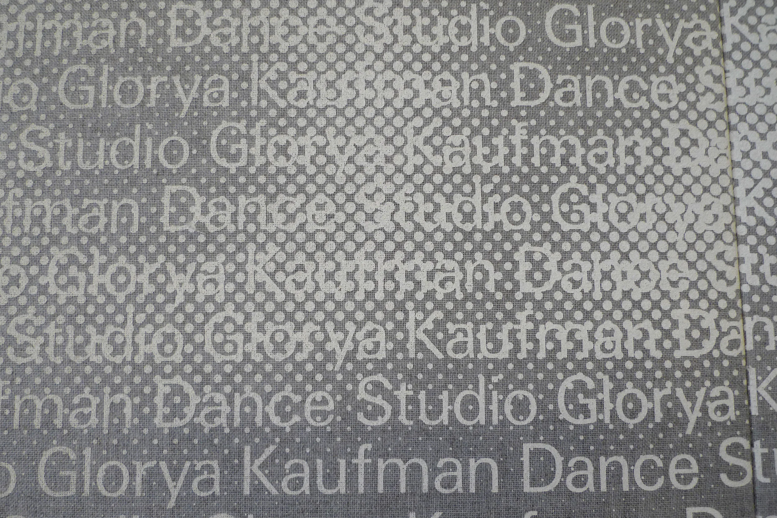 2x4_Lincoln Center_Juilliard_Kaufman Dance Studio 5.JPG