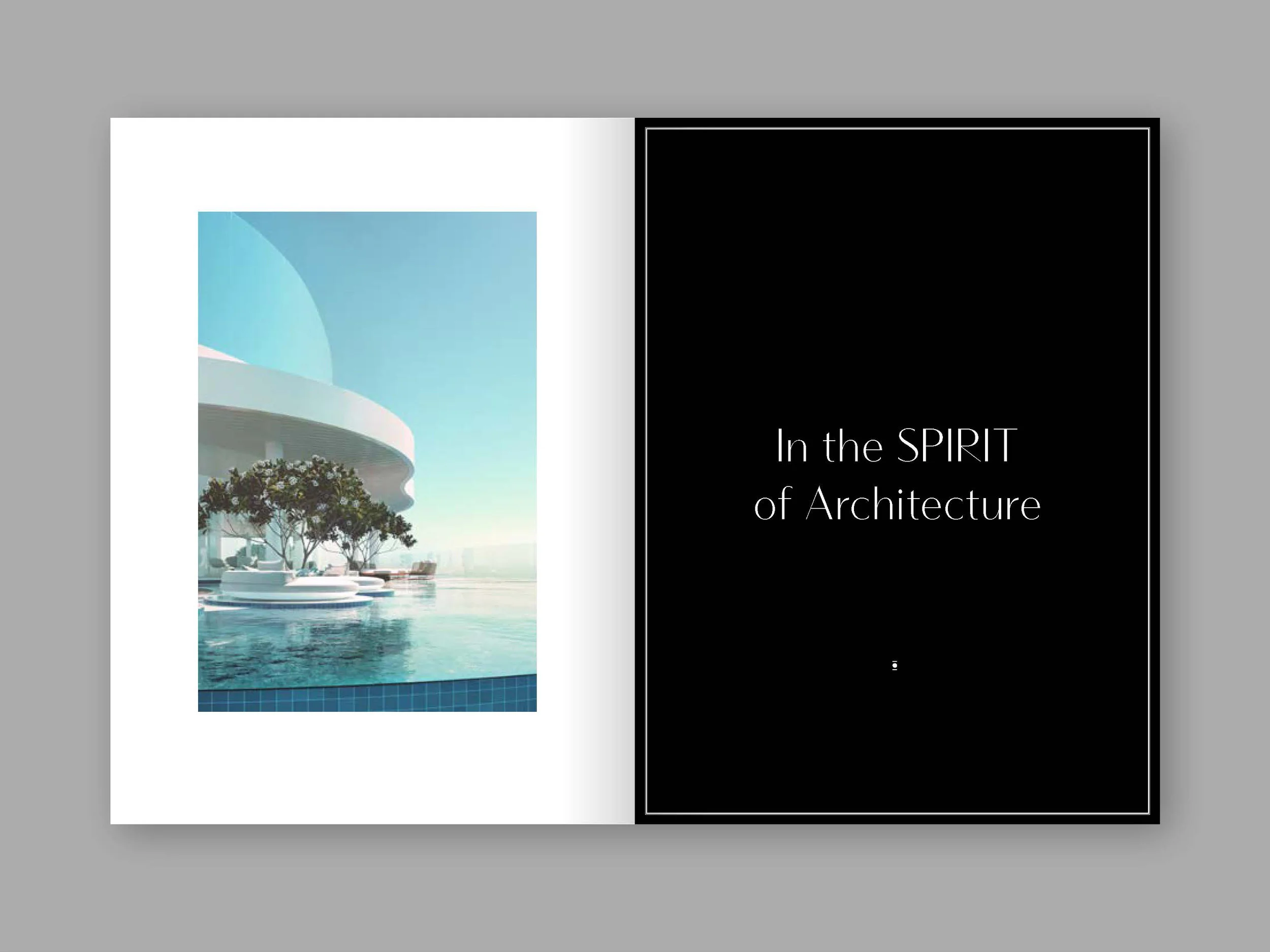 Spirit_Brand_08.jpg