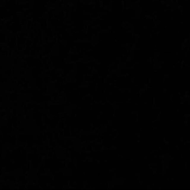 ✊🏻✊🏼✊🏽✊🏾✊🏿#blackouttuesday 
We are one and we can&rsquo;t stop fighting for our rights. Fuck @realdonaldtrump
