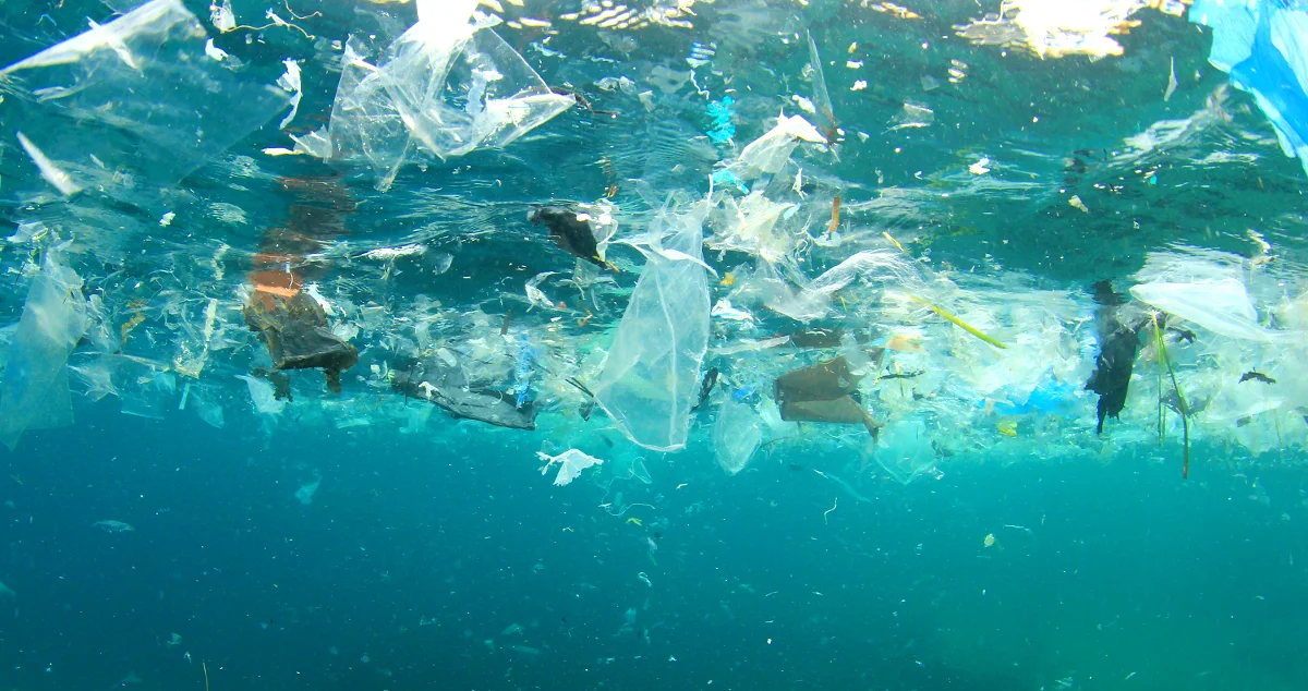 plastic-garbage.jpg