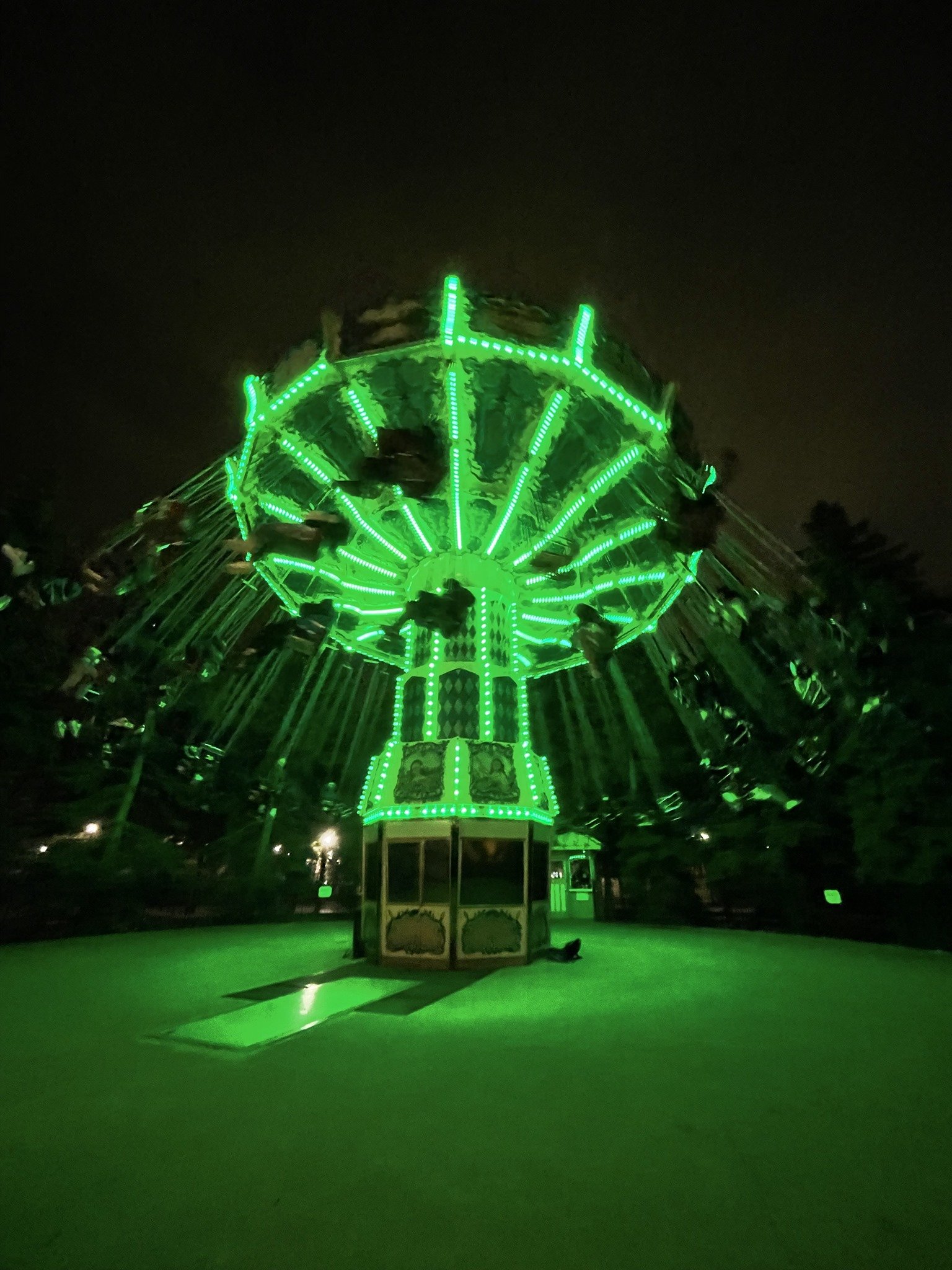  A green light shining at night on a spinning Rollercoster at Canada’s Wonderland.   