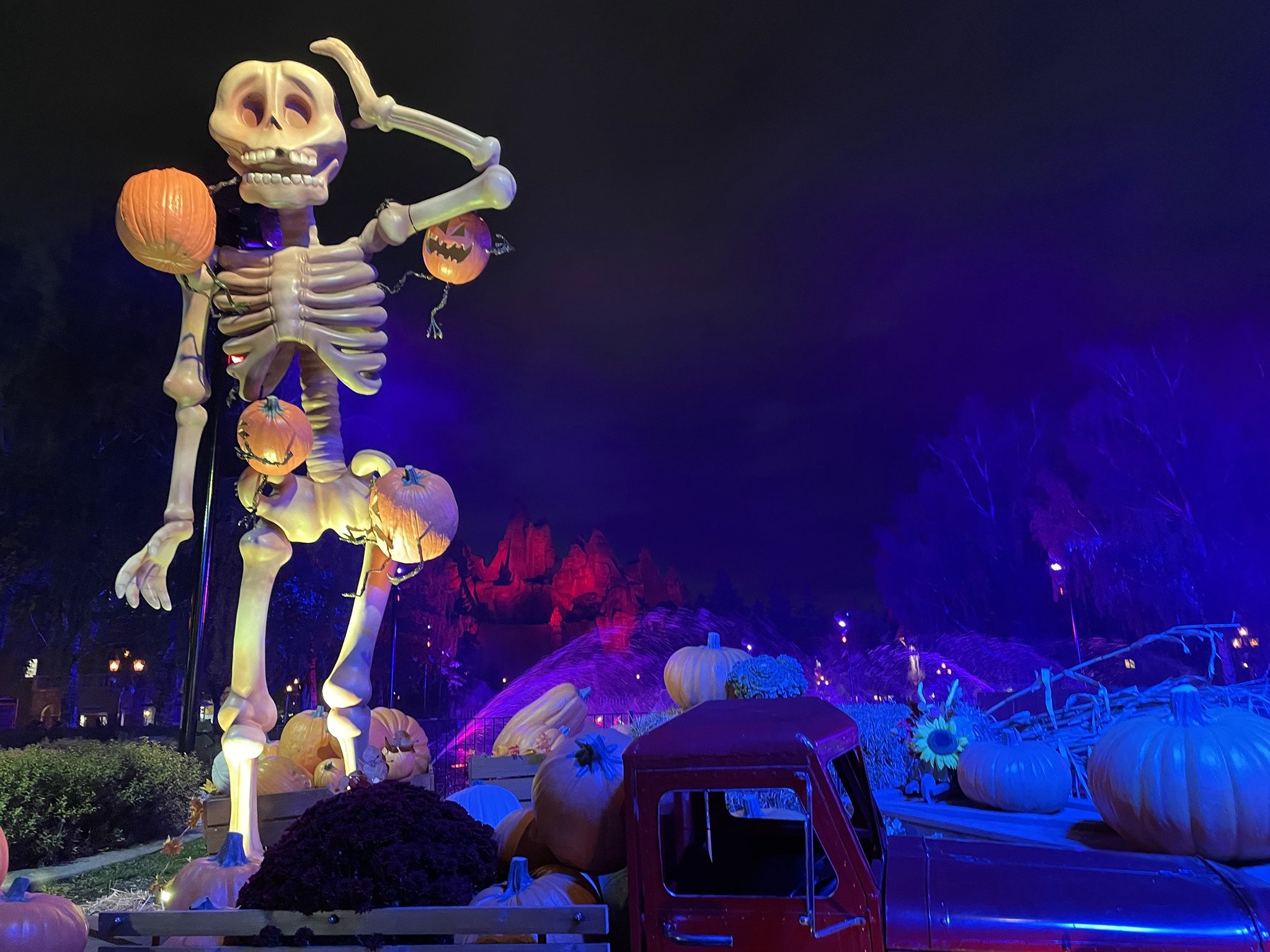  A giant skeleton with pumpkins surrounding the statue. Purple fog in the background at Canada’s Wonderland, Halloween Haunt.  