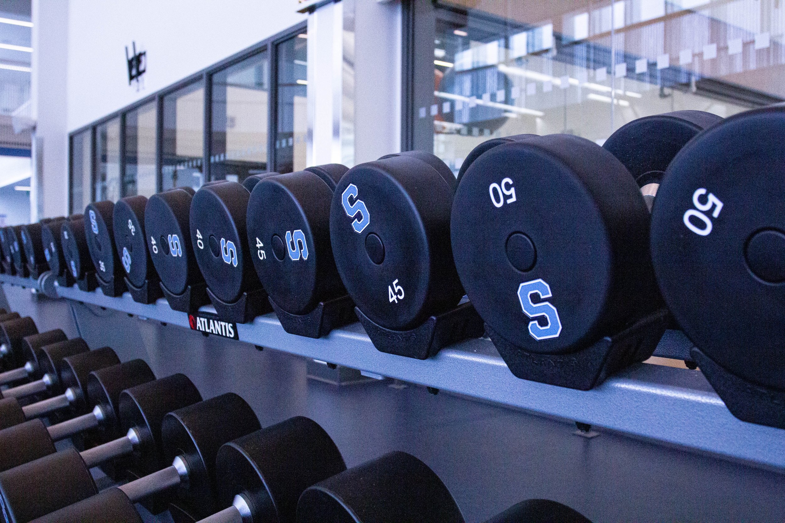  A row of navy dumbbells with the Sheridan Bruins logo (light blue S) on the shelf. Each dumbbell weighs 50 pounds, and decreases in weight as the row is further away.  