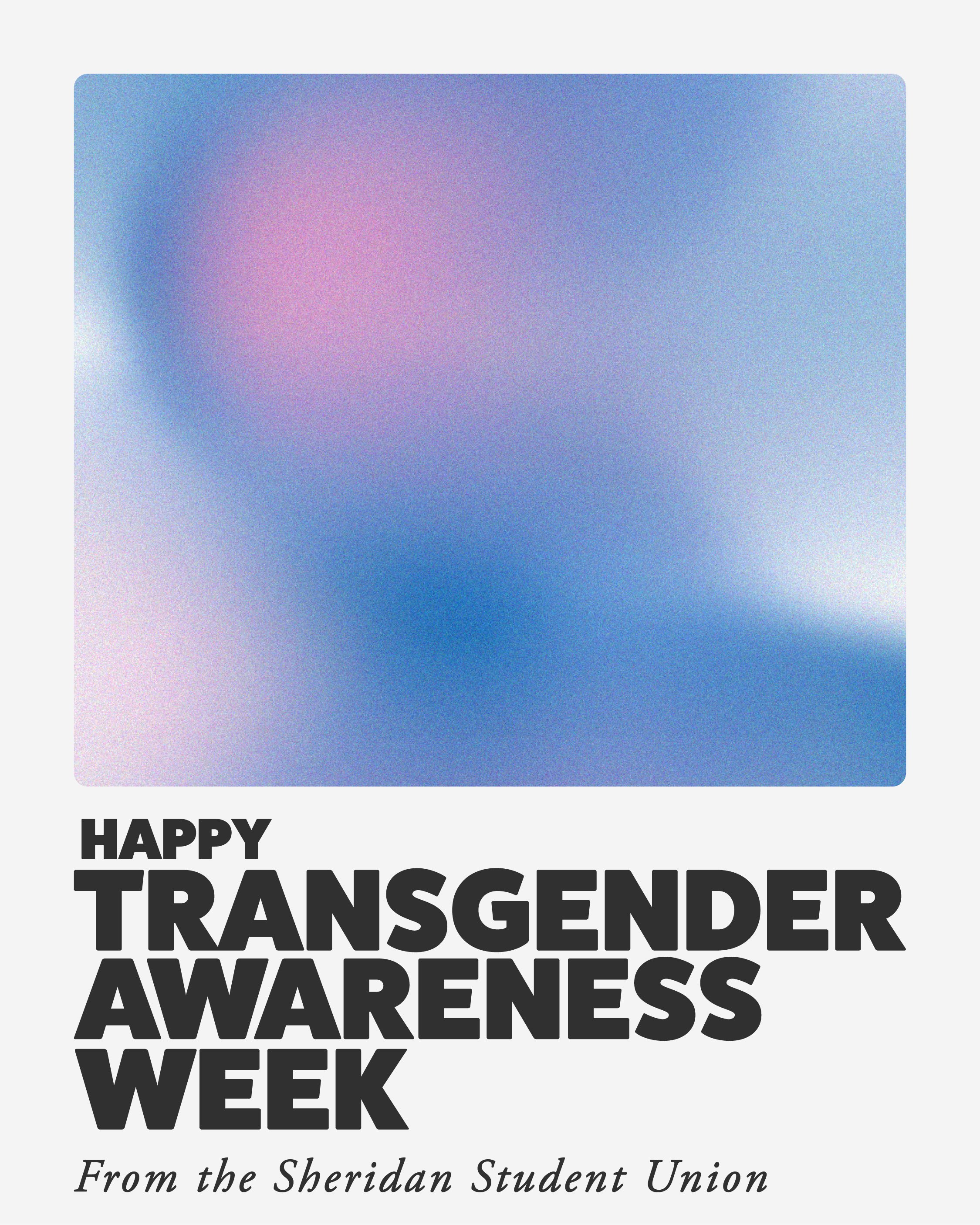 Transgender Awareness Week 