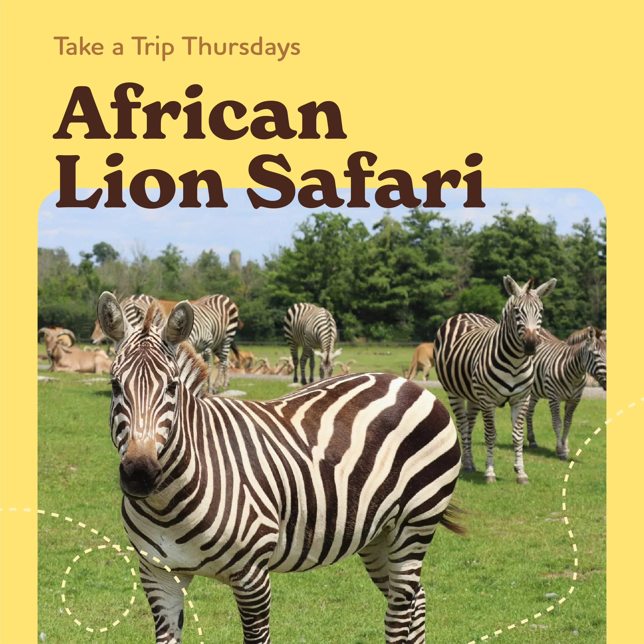 Take a Trip Thursday: African Lion Safari