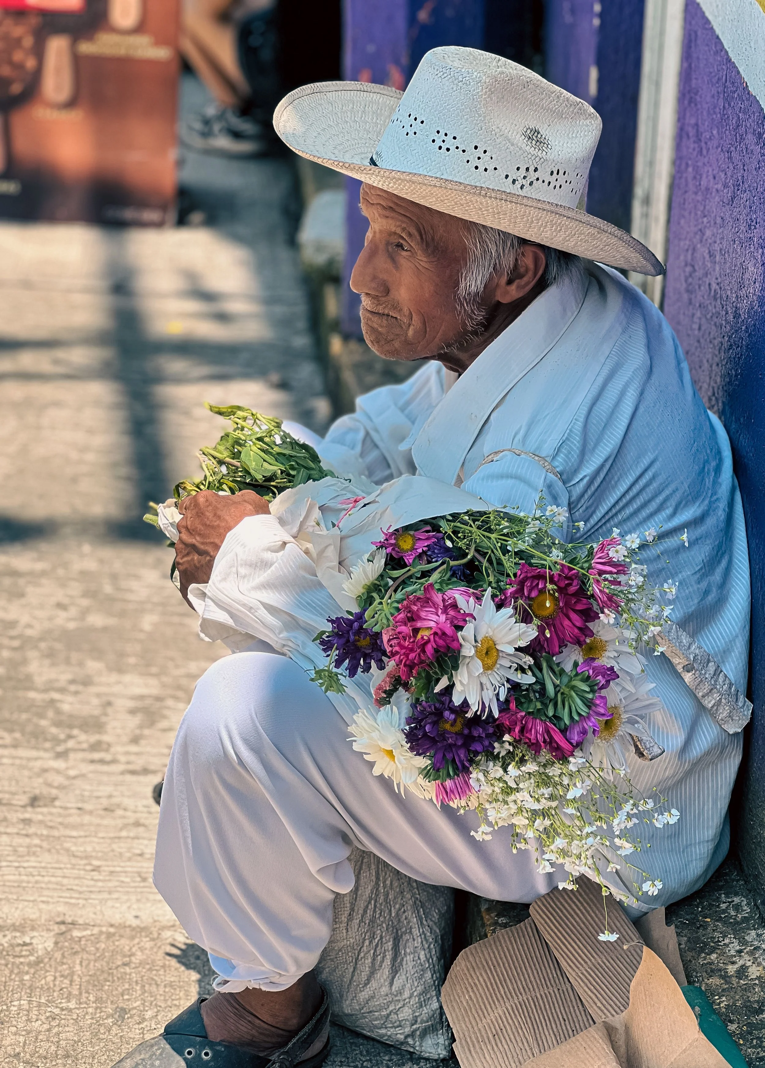 pexels-froylan-juarez-gaona-227263313-38486635.jpg