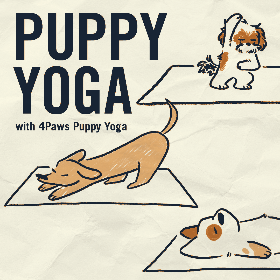 Puppy Yoga (DAV) 