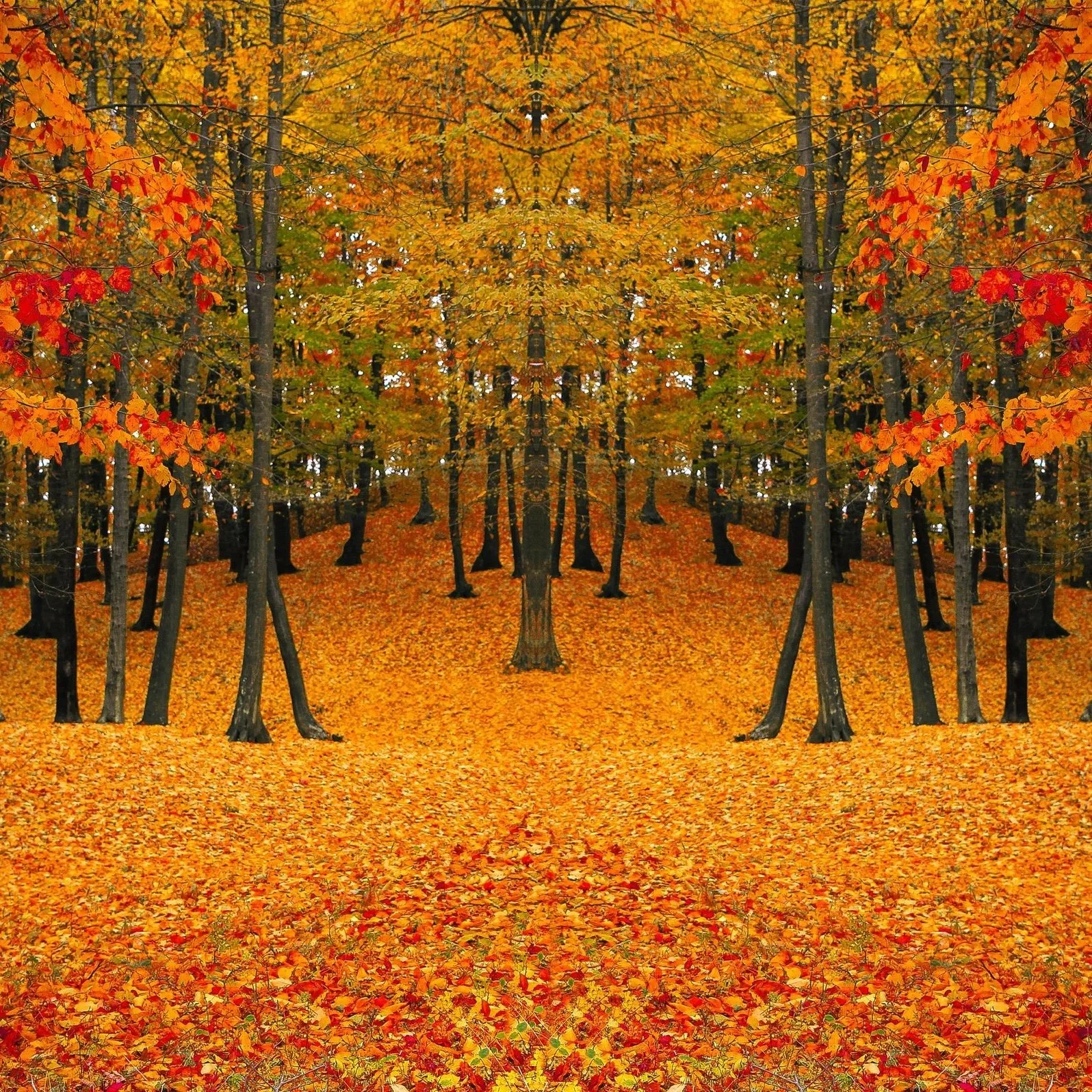 Fall Adventures: The Best Things to Do This Season