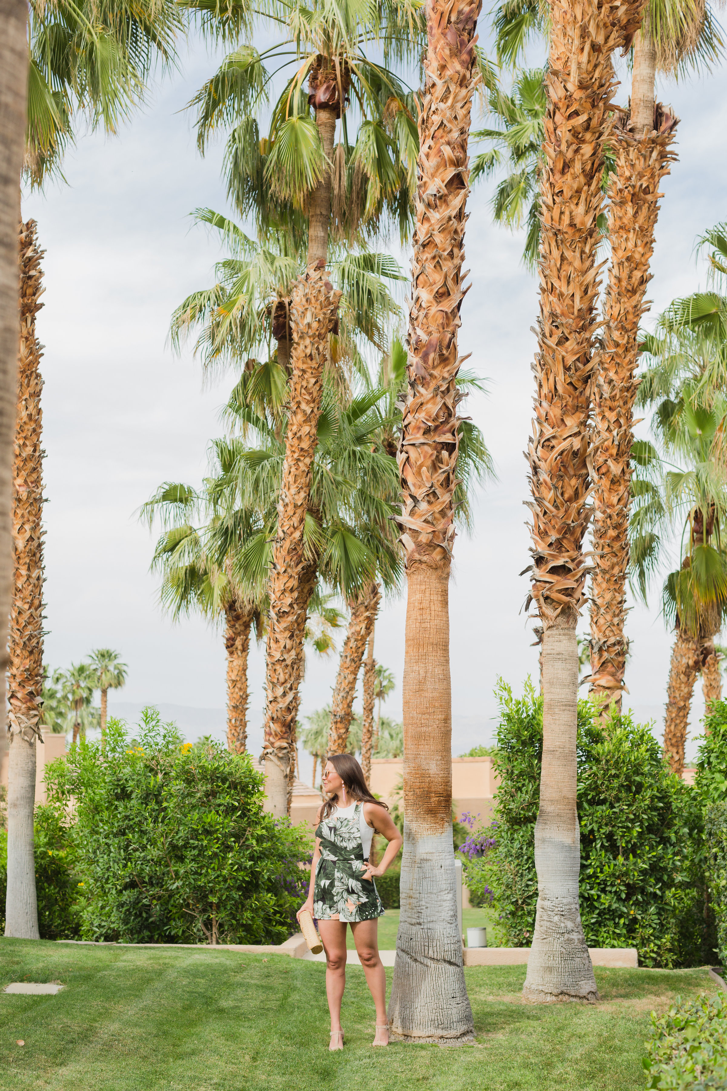 Palm print in palm springs