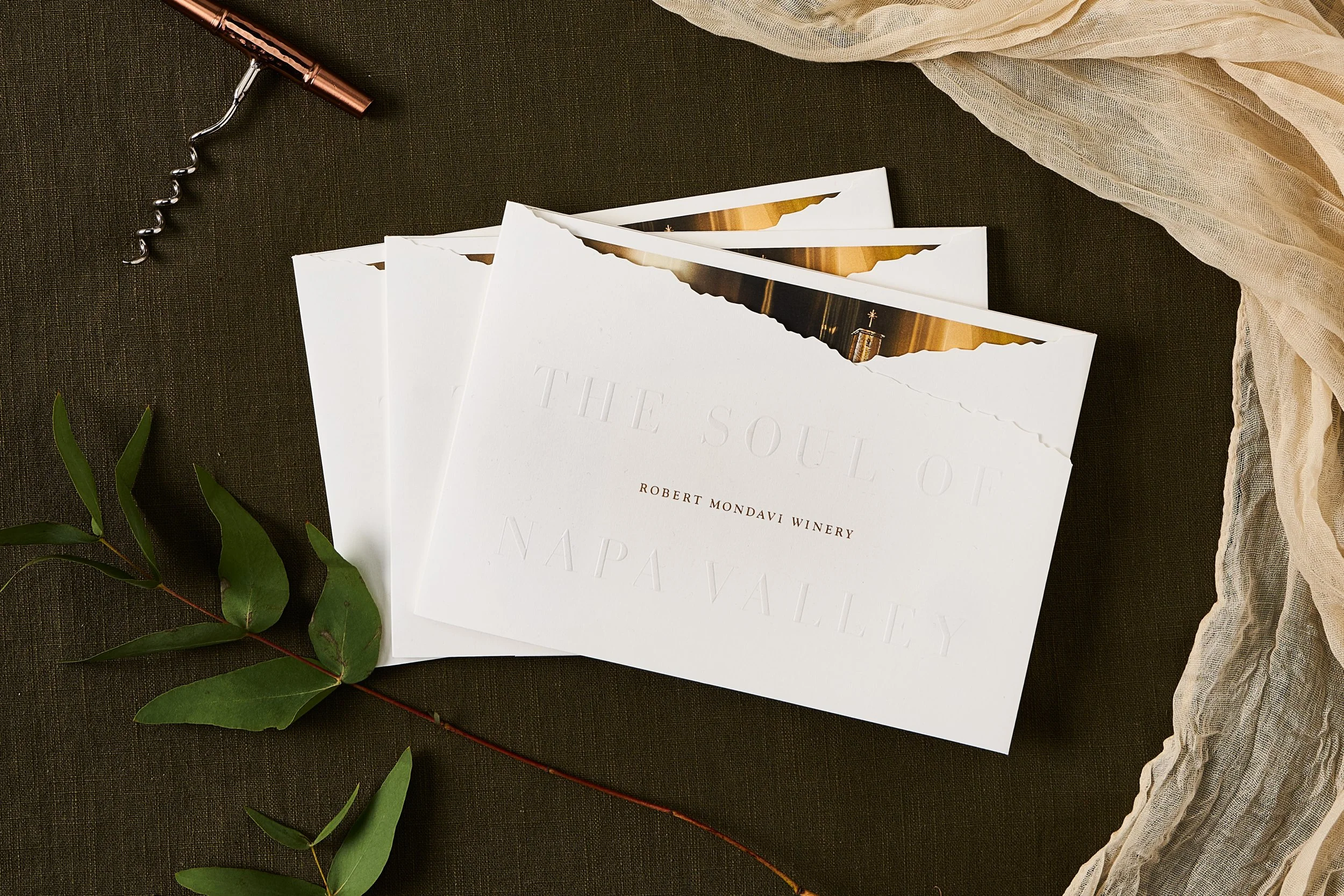 2024-01-04- PN ADDYS_473.jpg