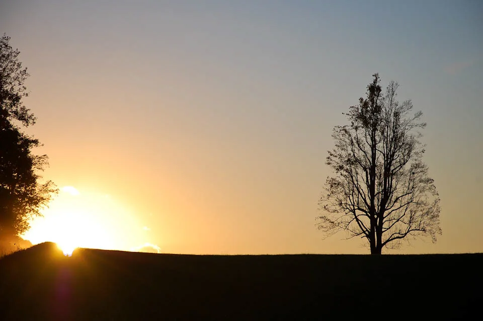 Jay Altizer Website.jpg