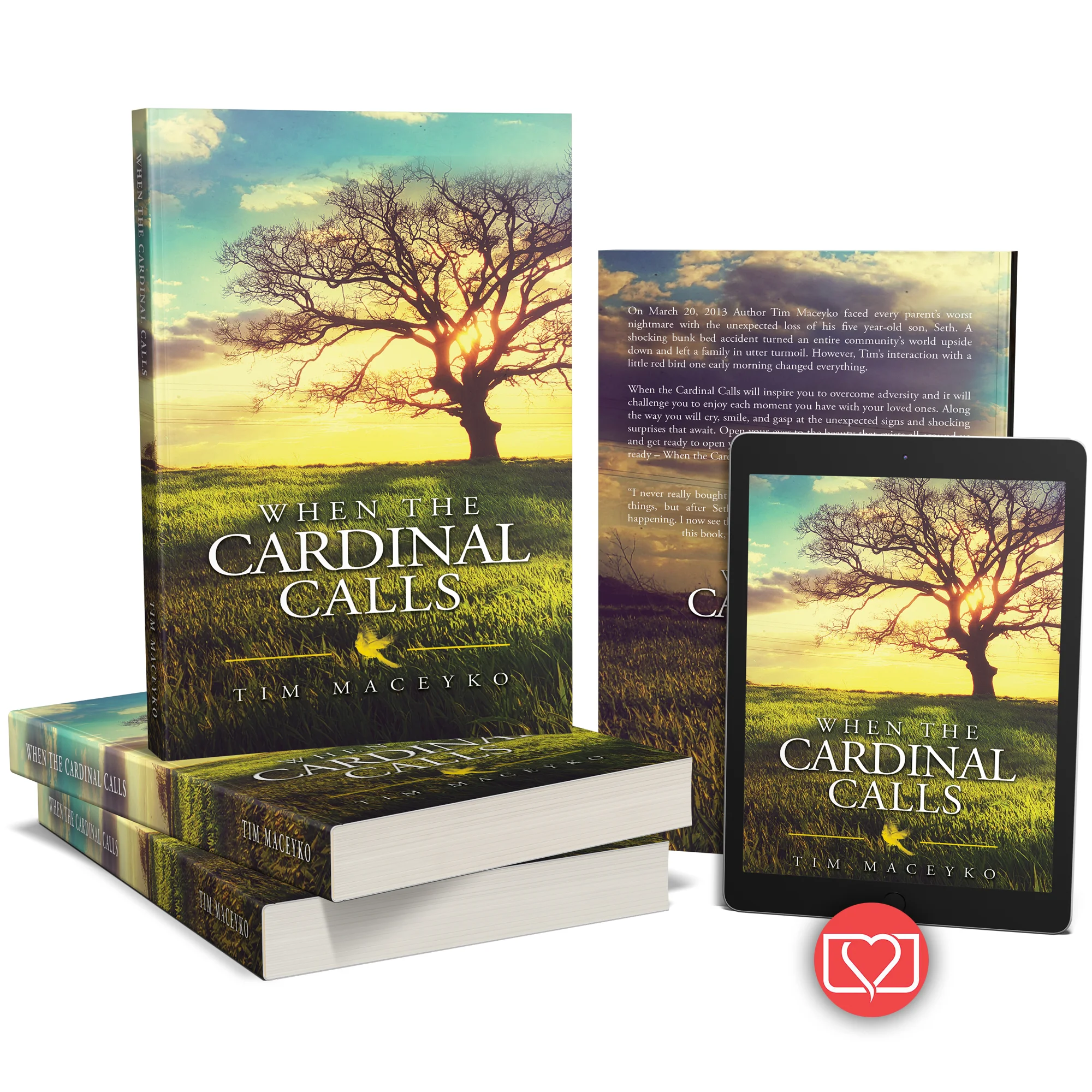 Amazing Full Print Covers Our Print Packages are one of a kind. We don't use pre-made templates or try to sell you on an idea you don't like. These covers work for a printing companies, Lulu, KDP, IngramSpark, BookBaby and more!