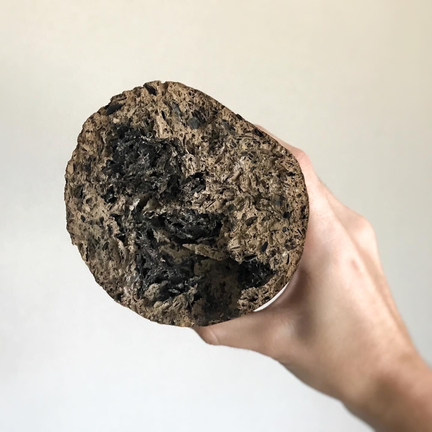 Cross section of our plantain and coffee waste composite material. #materiamadura 

&mdash;&mdash;&mdash;&mdash;&mdash;&mdash;&mdash;

#plantainwaste #coffeewaste #plantainstem #coffeegrounds #circulardesign #designinpuertorico #biodesigner #sustaina