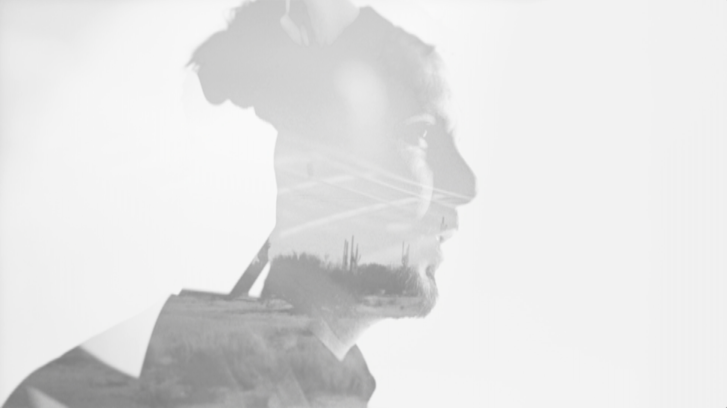 Screen Shot 2018-03-21 at 1.38.34 PM.png