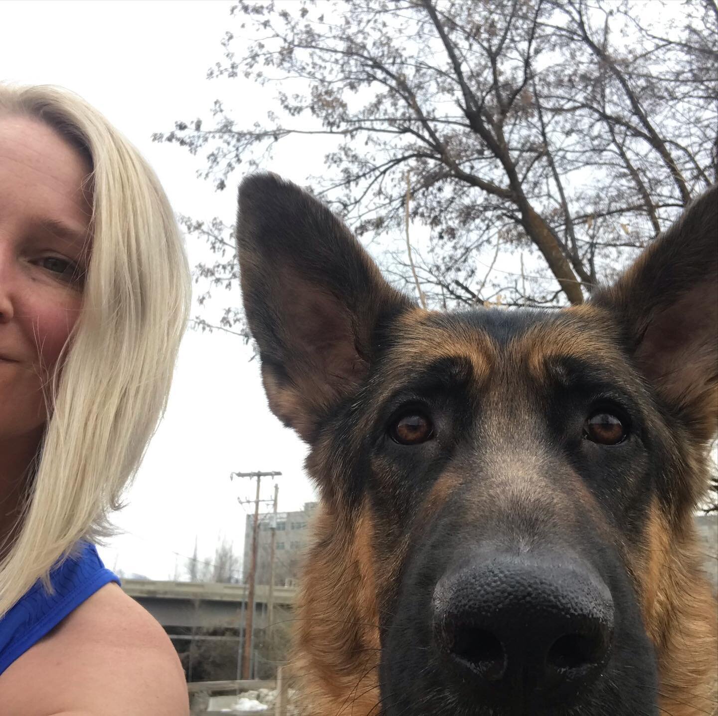 It&rsquo;s been tough to run in the city. I definitely got spoiled living in PC but I think this guy keeps me safe. The good news is that he scares the bad peeps away... the bad news is that he scares all the good peeps away. GSD lovers though will c