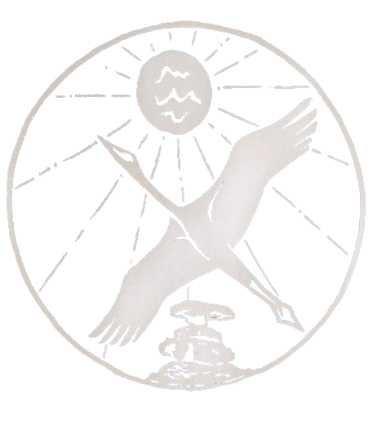 Pre-order Custom T-shirts design and printed by Realms students!