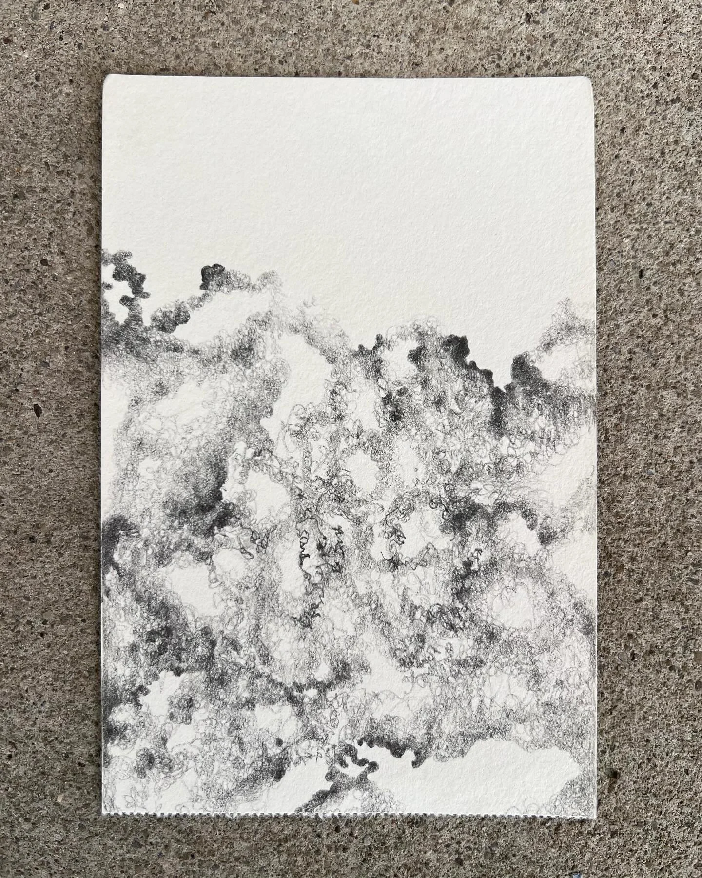 Graphite on paper 2025