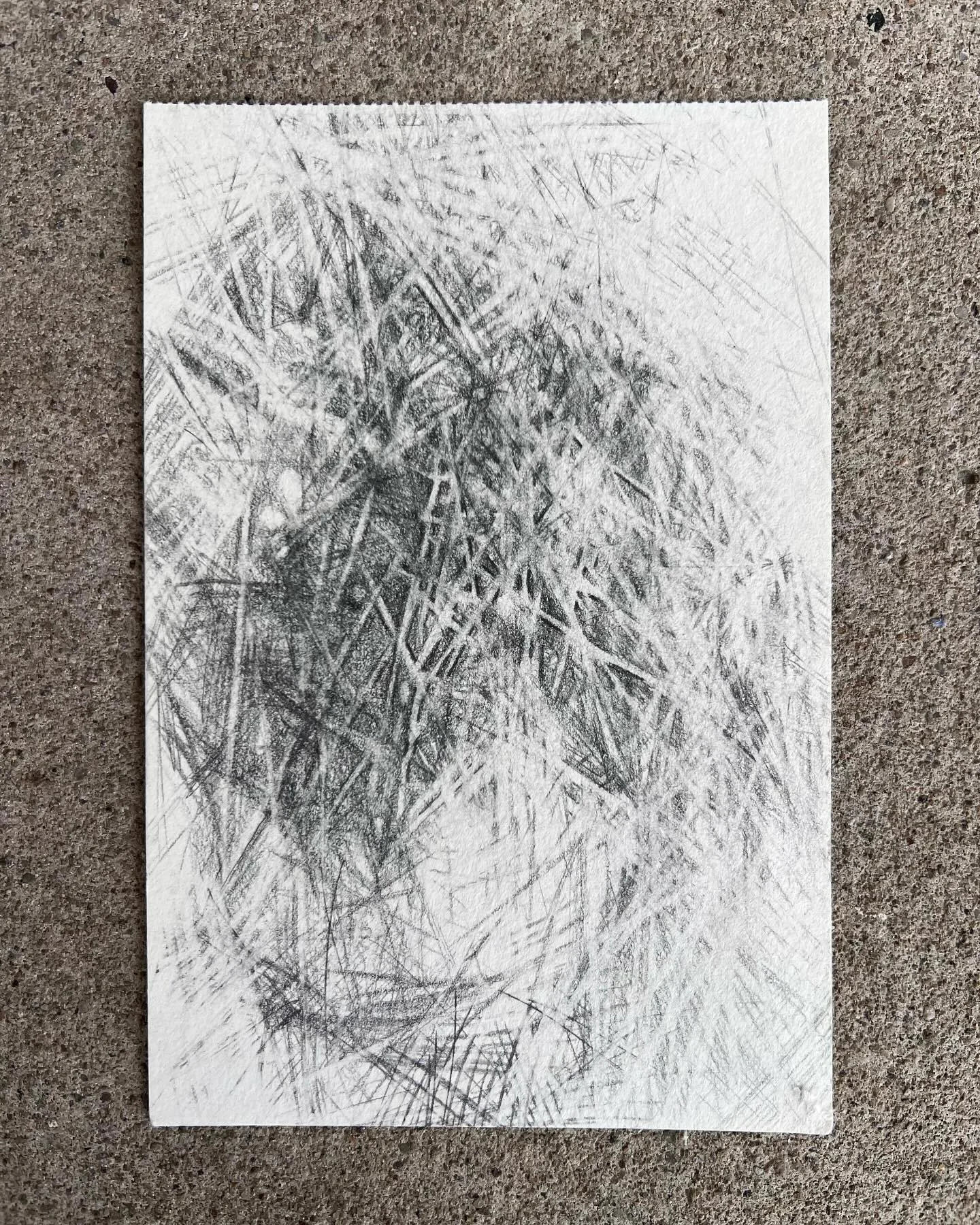 Graphite on paper 💛 2025