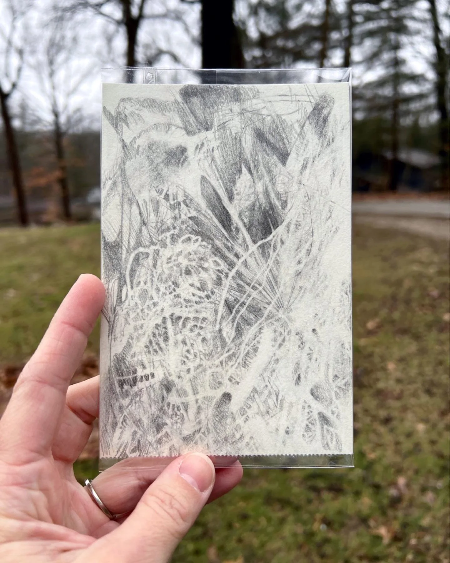 A small 4&rdquo; x 6&rdquo; drawing in graphite