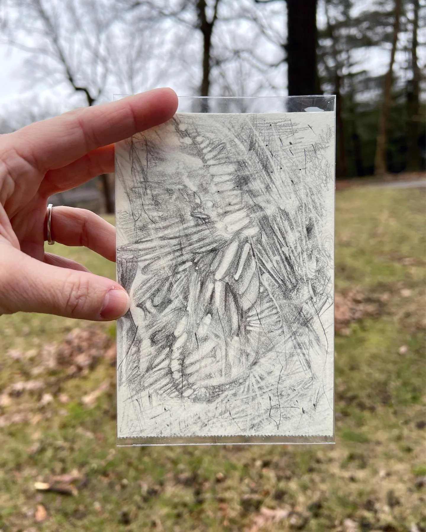 A small graphite drawing