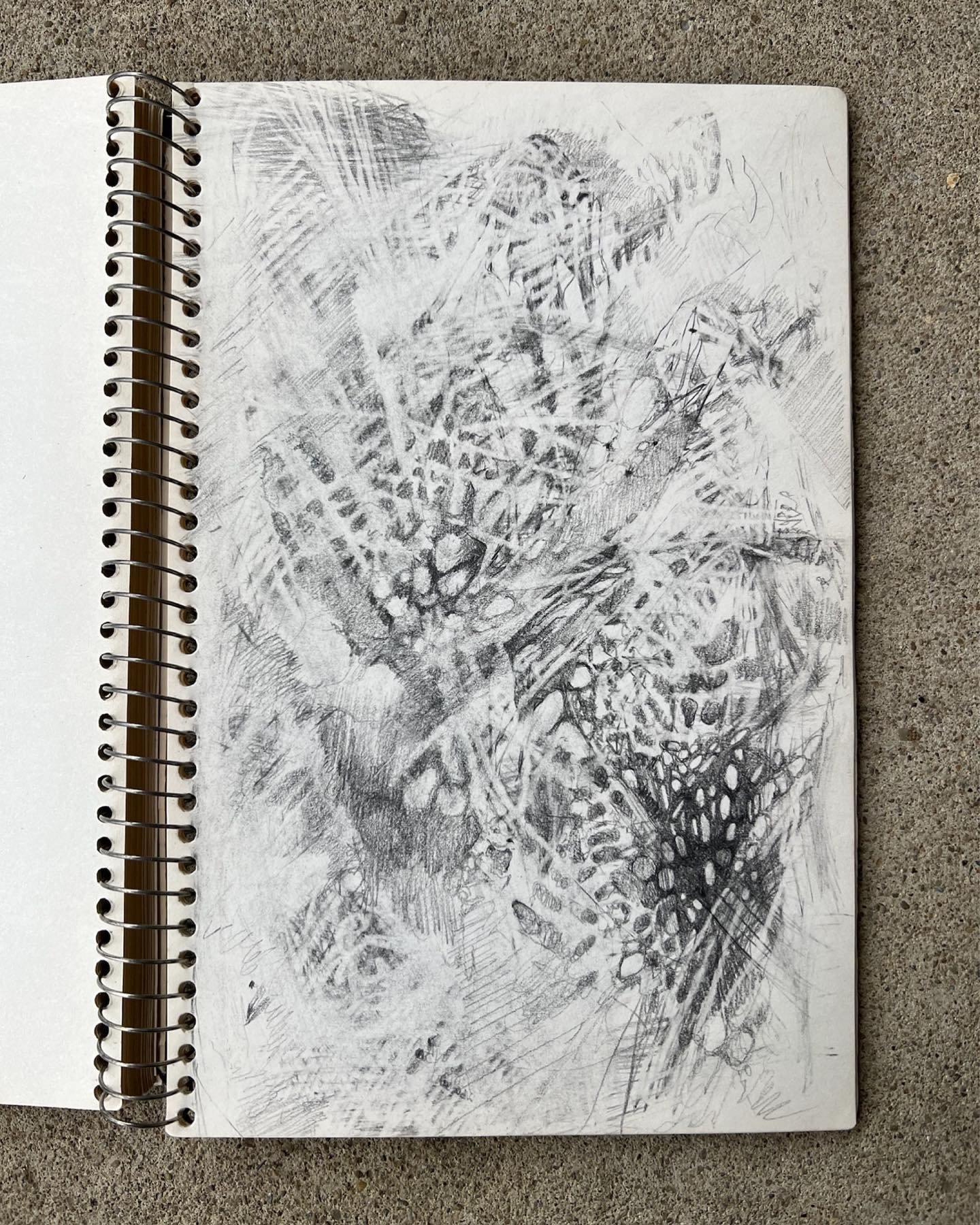 Graphite drawing in my sketchbook. Only a few pages left in this one!!