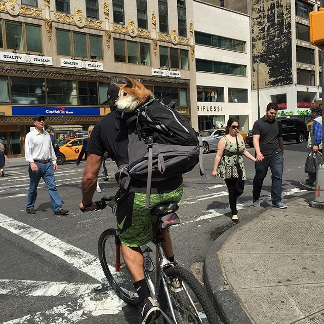 Good reminder today to make sure you've got someones back #karmic #karma #karmicdeeds #nyc #bikelife #mansbestfriend