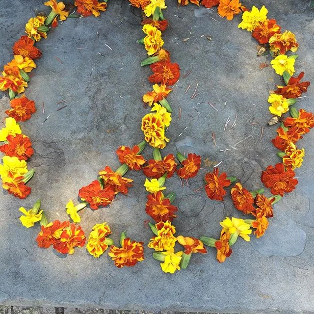 Pick flowers, not fights #karmic #karma #kindness #peace #flowersofinstagram #flowers #art #flowerpower